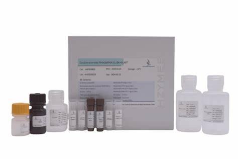 dsRNA ELISA kit 48T